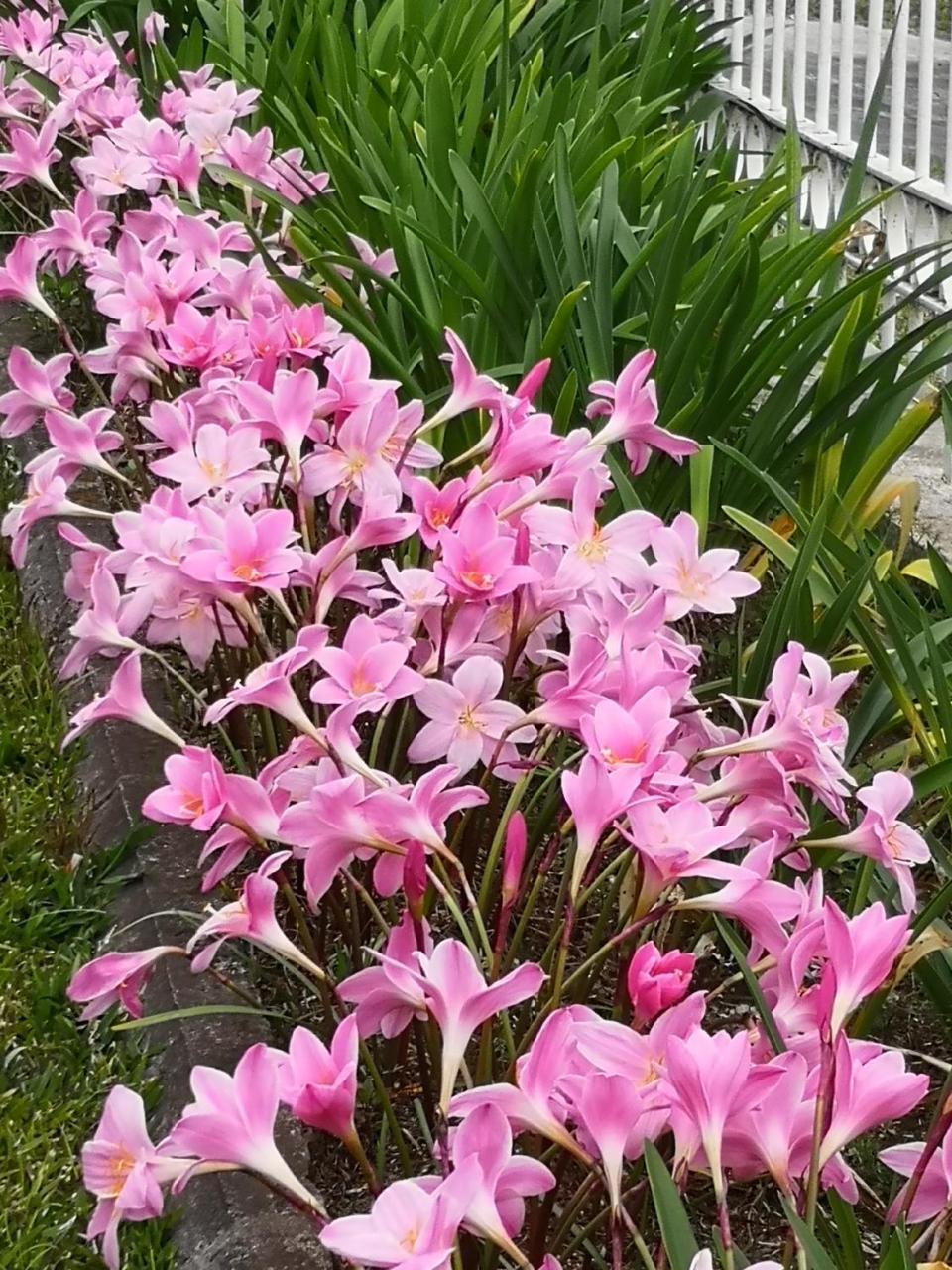 勒唐蓬Les Agapanthes别墅 外观 照片